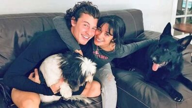 5 Tracks Camila Cabello And Shawn Mendes Wrote For Each Other