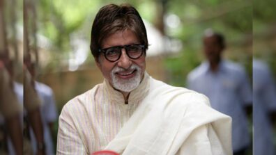 The Big (B) Revelation: “Bachchan Saab Did Not Charge A Single Penny For Chehre”