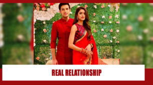 The real relationship between Erica Fernandes and Parth Samthaan revealed