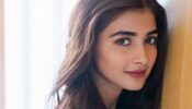 ‘There’s already a buttabomma in the house…’ Pooja Hedge reacts to a fan asking her to name her plant ‘Buttabomma’