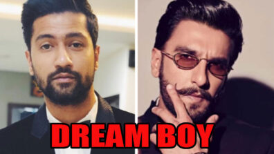 Vicky Kaushal Vs Ranveer Singh: The Dream Boy Every Girl Wants!