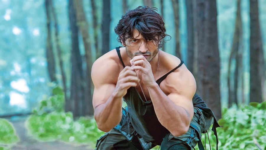 Vidyut Jammwal To Akshay Kumar: Did You Know These Bollywood Actors Are Trained In Martial Arts? - 0