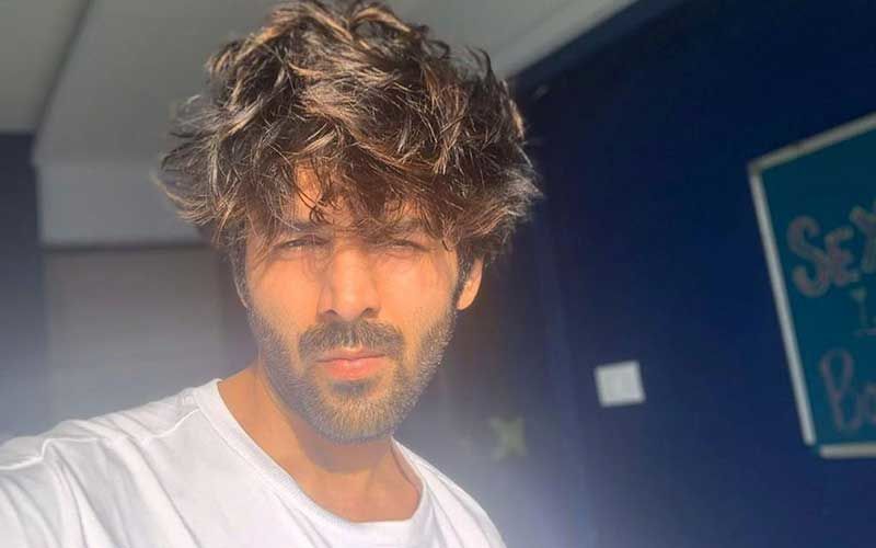 Vijay Deverakonda Vs Kartik Aaryan: Which Actor Has Your Heart For The Long Messy Hairstyle? FAN BATTLE - 2