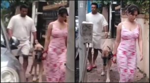 Watch Now: Rumoured couple Leander Paes and Kim Sharma take their dog out for a walk, see viral video
