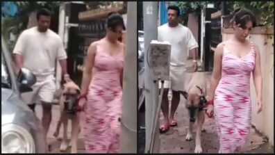 Watch Now: Rumoured couple Leander Paes and Kim Sharma take their dog out for a walk, see viral video