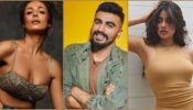 ‘What a kick-ass poster’: Malaika Arora is all praises for her rumoured BF Arjun Kapoor’s next, Kuttey; Janhvi Kapoor hops in