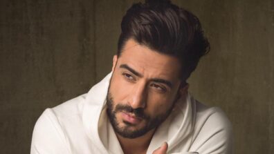 Why Did Bigg Boss Contestant Aly Goni Take A Break From Twitter? Check Out Details Here