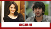 Zindagi Mere Ghar Aana Spoiler Alert: OMG!! Kabir looks for a job in Meera’s office?