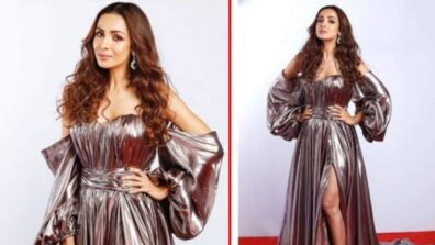 Bonafide Fashion Diva! Malaika Arora Takes Her Fashion Quotient A Notch Higher In Metallic Gown