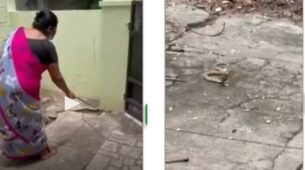 A Woman Was Spotted Trying To Coax A Small Cobra Out Of Her House With Gentle Words, Video Went Viral