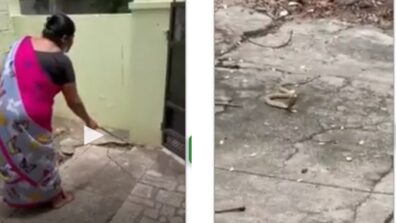 A Woman Was Spotted Trying To Coax A Small Cobra Out Of Her House With Gentle Words, Video Went Viral