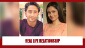 Ankita Lokhande and Shaheer Sheikh: Real life relationship status revealed