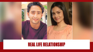 Ankita Lokhande and Shaheer Sheikh: Real life relationship status revealed