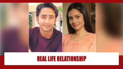 Ankita Lokhande and Shaheer Sheikh: Real life relationship status revealed