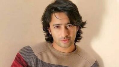 Shaheer Sheikh Reveals Why He Chose To Do Pavitra Rishta 2; Says Did What He Felt Sushant Singh Rajput Would Do