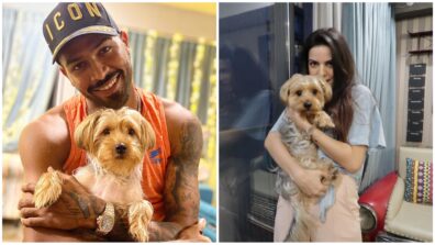 Aww so so cute! My heart is just melting by seeing Natasha and Hardik’s hairy fairy furball, glimpses here