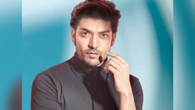 I have been making Ganpati idols with my own organic clay since the past 2 years: Gurmeet Choudhary