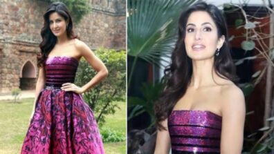 What a beauty! Barbie doll Katrina Kaif’s marvelous purple shimmering fairy gown will leave you in awe