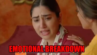 Bade Achhe Lagte Hain 2 spoiler alert: Priya to have an emotional breakdown