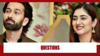 Bade Achhe Lagte Hain 2 Spoiler Alert: Ram questions Priya about her ex-boyfriend?