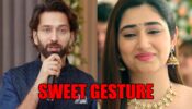 Bade Achhe Lagte Hain 2 spoiler alert: Ram’s sweet gesture brings a smile on Priya’s face