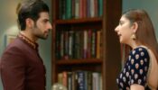 Bade Achhe Lagte Hain 2 Written Update S02 Ep020 24th September 2021: Neeraj annoys Priya