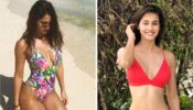 Beach Bum Disha Patani Has Got Us Missing The Beach Too Much! See Her Beach Visuals
