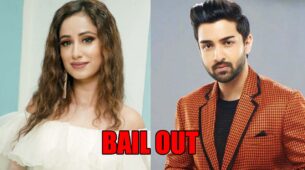 Bhagya Lakshmi spoiler alert: Malishka to bail out Rishi