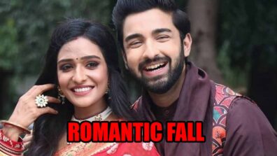 Bhagya Lakshmi spoiler alert: Rishi and Lakshmi’s ‘romantic fall’