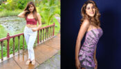 Bigg Boss Hotties: Rubina Dilaik and Nikki Tamboli burn the oomph quotient in latest candid snaps, Rashami Desai looks super hot in grey bralette and shorts in new workout videos