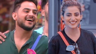 Bigg Boss OTT: Millind Gaba and Akshara Singh are evicted from the house