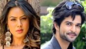Bigg Boss OTT: Nia Sharma Shares Her Views On Contestant Raqesh Bapat; Says, ‘He Is The Calm In The Chaos’