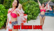Bold and Beautiful: Disha Parmar’s hot look in pink and blue bikini made us sweat