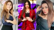 Bold And Beautiful: Jannat Zubair Rahmani, Avneet Kaur and Arishfa Khan raise the oomph quotient with perfect in sensuous high-chic outfits, are you in love already?