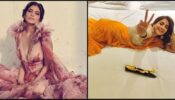 Bold South Divas: Pooja Hegde and Malavika Mohanan are here to make us feel the heat with their intensity, check ASAP