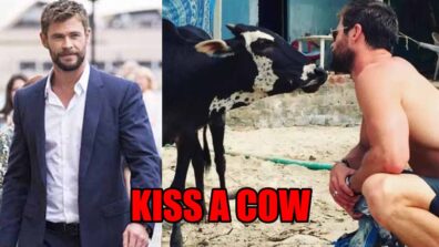 Chris Hemsworth aka Thor once tried to kiss a cow in India; the picture broke the internet and created the biggest buzz