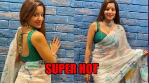 Desi Beauty: Monalisa looks super hot in white saree, fans love it