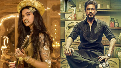 From Deepika Padukone in Bajirao Mastani to Shah Rukh Khan in Raees: Bollywood celebs who refused for stunt doubles in action sequences