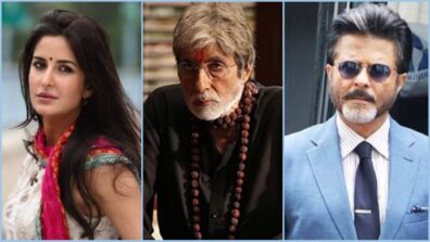 From Katrina Kaif To Amitabh Bachchan, And Anil Kapoor: 3 Bollywood Actors Who Have Portrayed Politicians On Screen And Nailed It