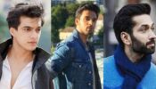From Mohsin Khan To Nakuul Mehta: Handsome Hunks Of TV Who Are A Treat To Our Eyes