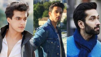 From Mohsin Khan To Nakuul Mehta: Handsome Hunks Of TV Who Are A Treat To Our Eyes