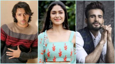 From Shaheer Sheikh, Mrunal Thakur And Karan Tacker: TV actors who rejected Bollywood movies