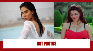 From Sonam Bajwa To Kainaat Arora: Punjabi Actresses And Their Hottest Photos On Google