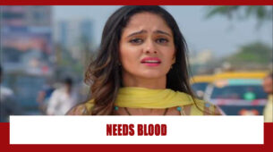 Ghum Hai Kisikey Pyaar Mein Spoiler Alert: OMG!! Sai gets critical; needs blood