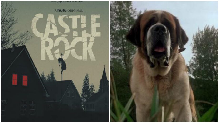 Something To Cheer Up On A 4 Day Work Week Fellas: Binge Watch The Netflix Films Like Castle Rock To Cujo 473018