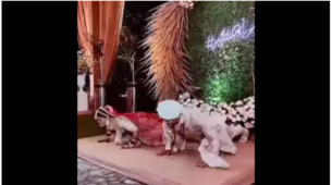 Hilarious Couple Goals: A Bride & A Groom Do Push-Ups Together At Their Wedding, Watch The Viral Video