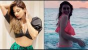 Hot Actresses Social Update: Shamita Shetty flaunts her midriff in a black cropped bralette, Hansika Motwani shares super hot video after taking a swim in a bikini