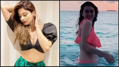 Hot Actresses Social Update: Shamita Shetty flaunts her midriff in a black cropped bralette, Hansika Motwani shares super hot video after taking a swim in a bikini