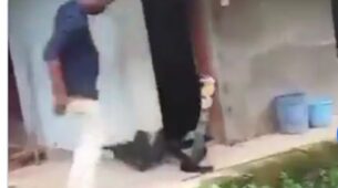 How Not To Rescue A Cobra: Check Out The Most Terrified Encounter Between A King Cobra And A Snake Rescuer; Netizens Cannot Stop Freaking Out
