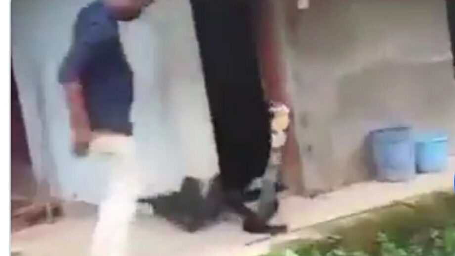 How Not To Rescue A Cobra: Check Out The Most Terrified Encounter Between A King Cobra And A Snake Rescuer; Netizens Cannot Stop Freaking Out 470229